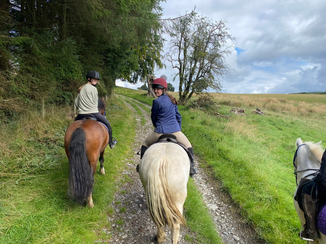 Springhill Farm Riding Stables景点图片