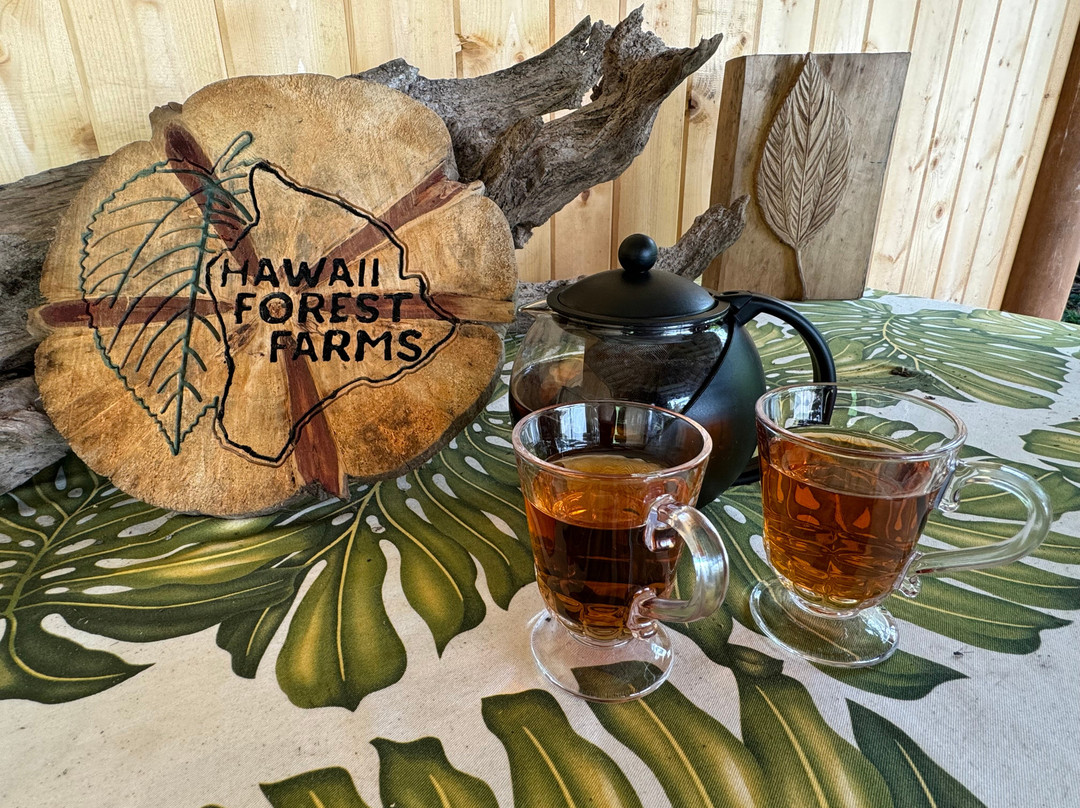 Hawaii Forest Farms-火山必去景点
