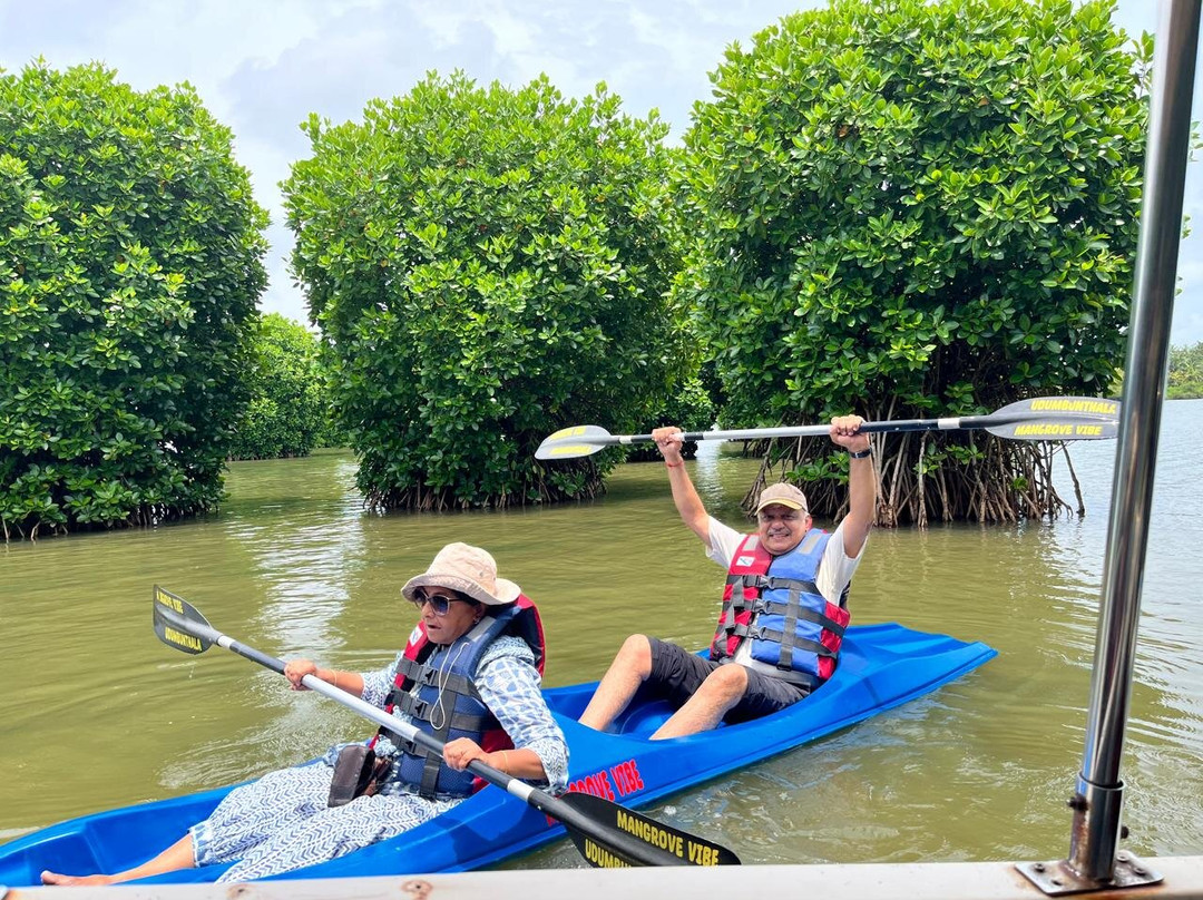 Mangrove vibes景点图片