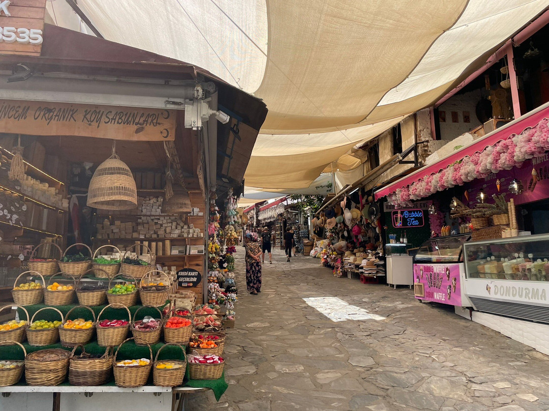 Tours For Ephesus-库萨达斯必去景点