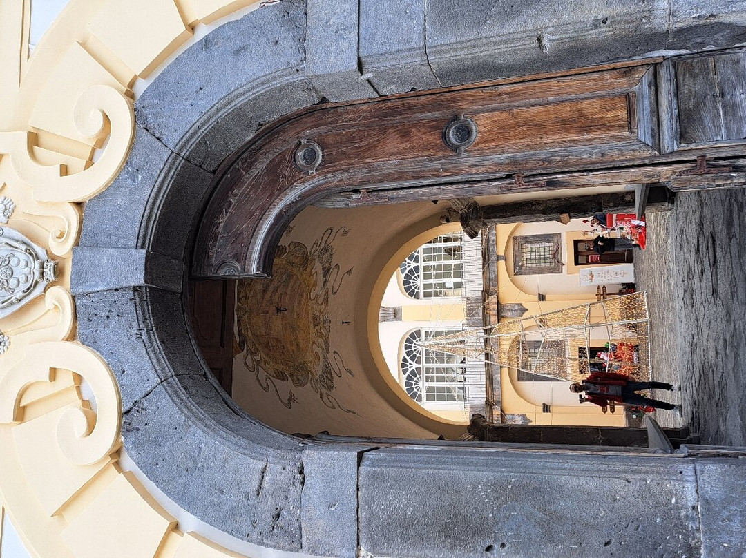 Palazzo Mediceo景点图片
