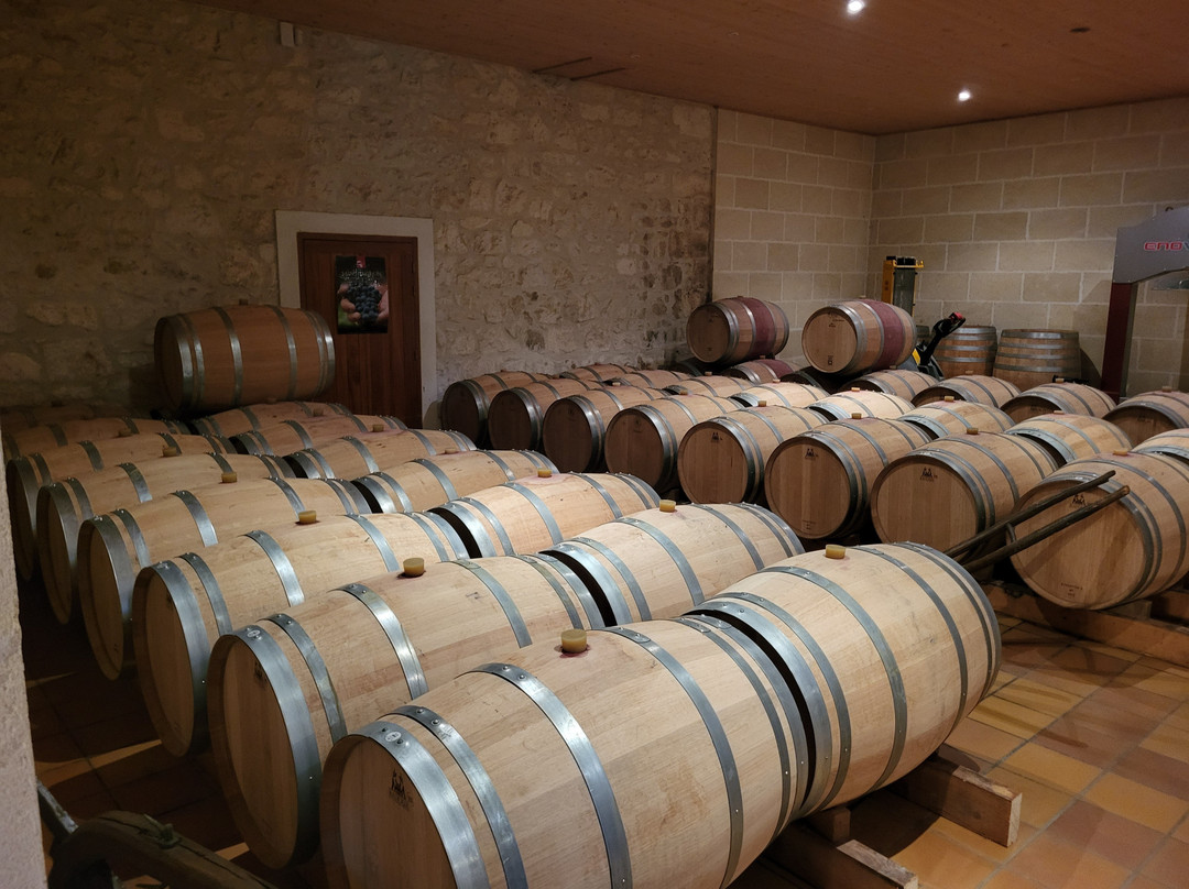Château Cadet-Pontet景点图片