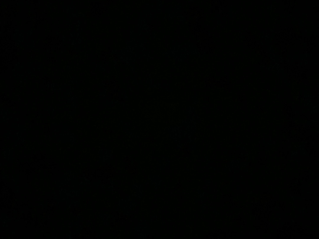 Dewey Beach Parasail-Dewey Beach必去景点