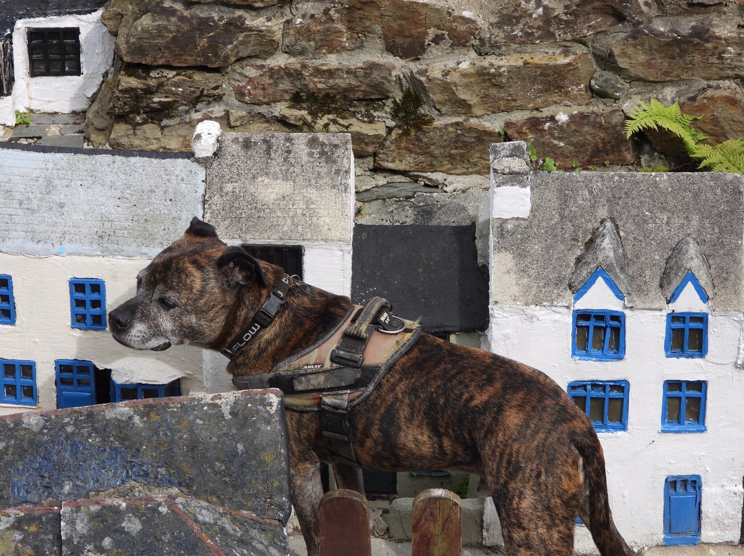 Polperro Model Village Land of Legend & Model Railway-Polperro必去景点