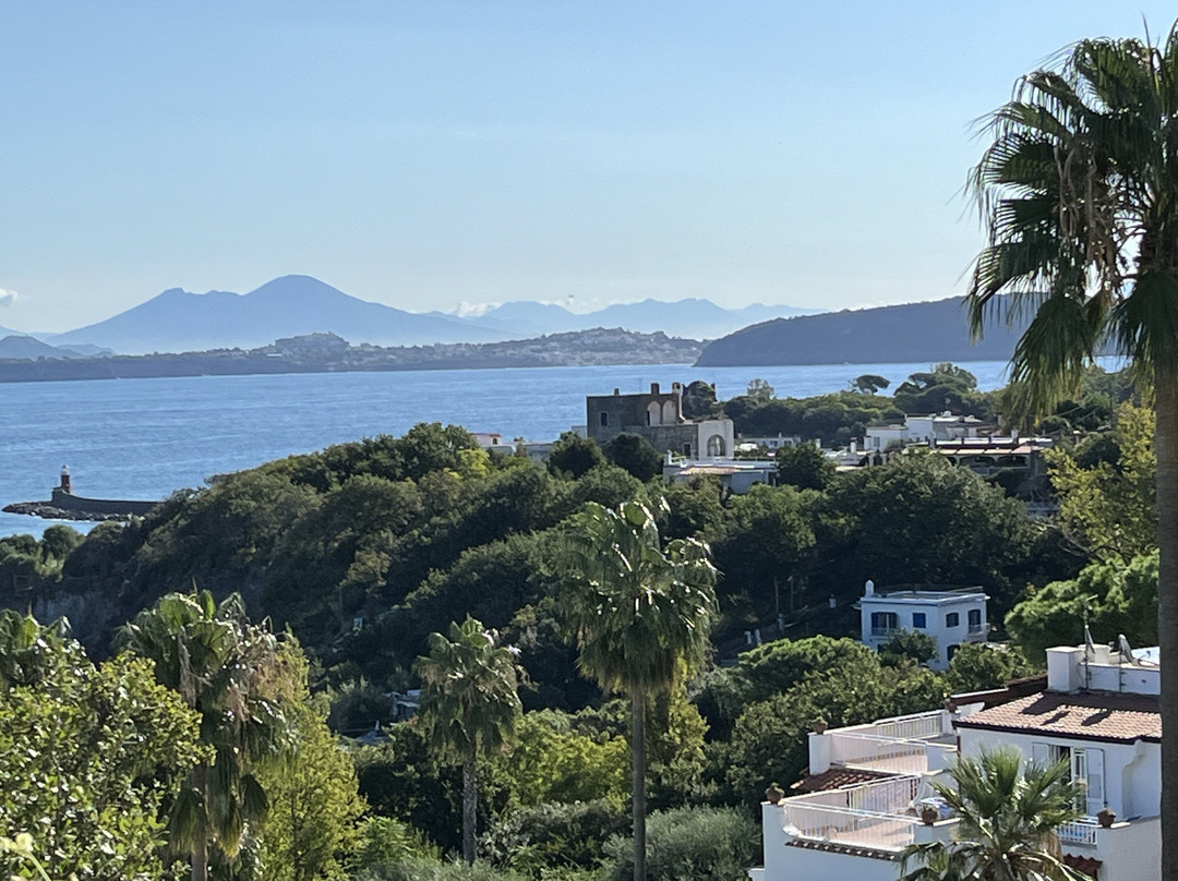 Hotel Le Querce Terme & Spa主图