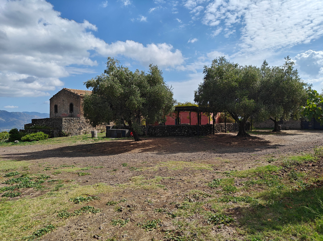 Planeta Winery景点图片