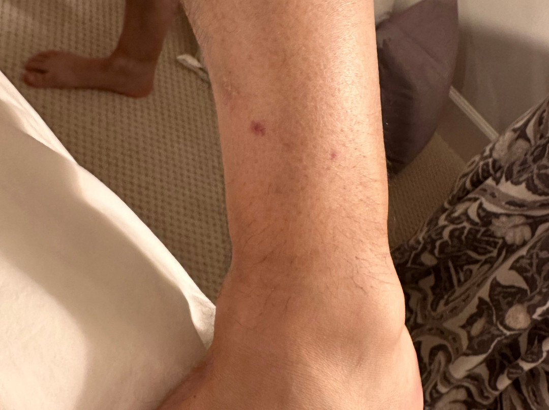 Le Méridien St. Louis Clayton主图