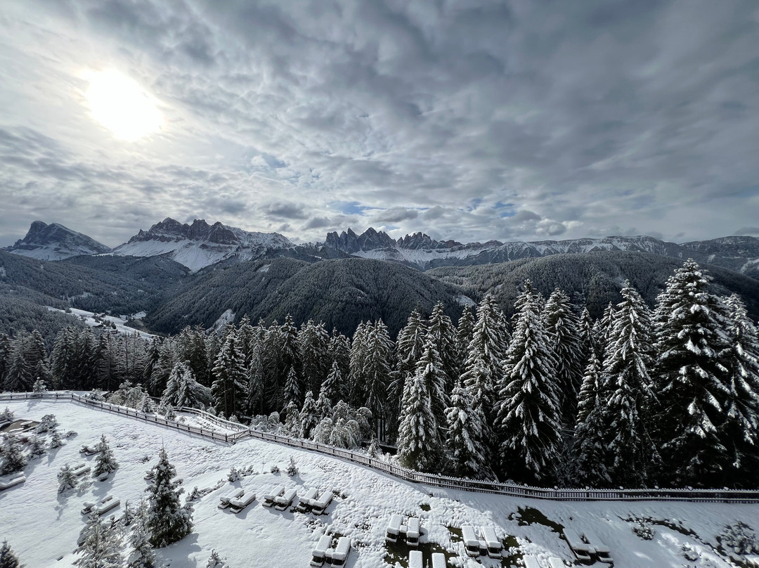 Forestis Dolomites主图