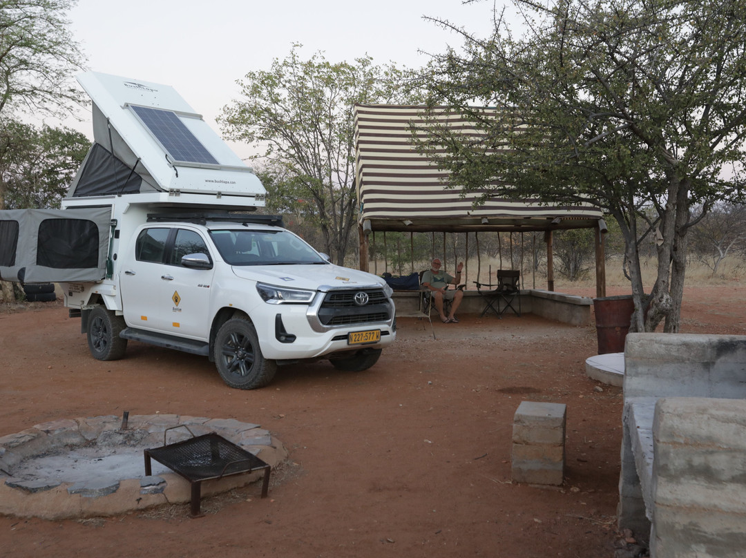 Otjitotongwe Cheetah Park-Kamanjab必去景点