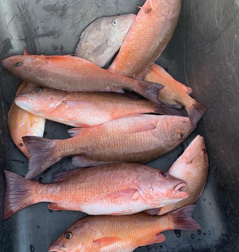 Sea Hag Marina & the Shacks at Sea Hag主图