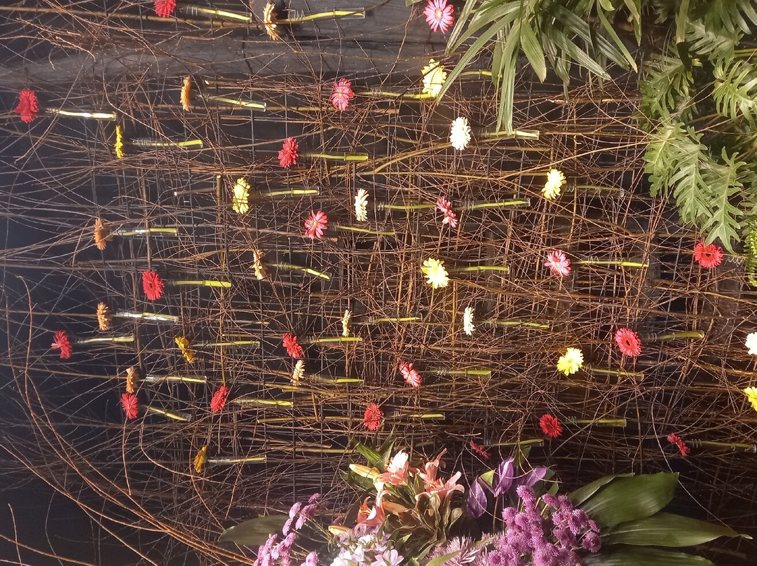 ExpoFlora景点图片