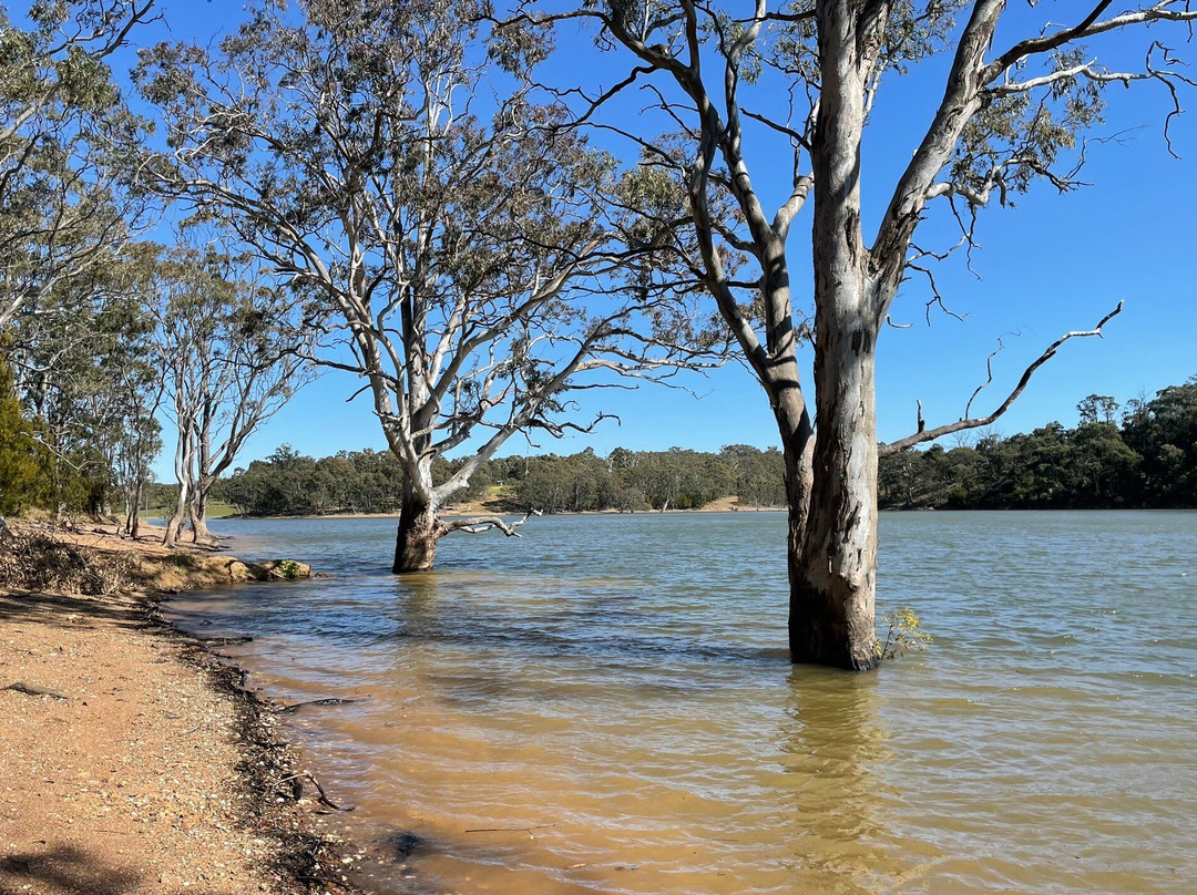Glenmaggie Bridge-Glenmaggie必去景点