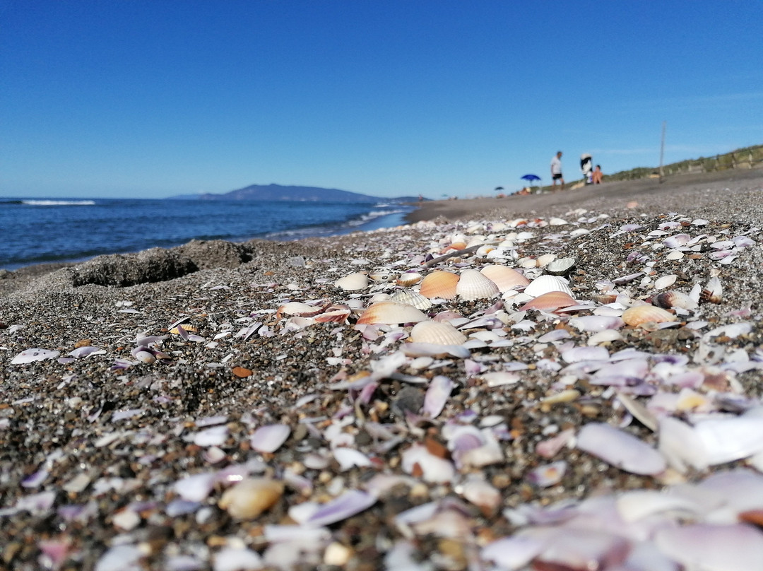 Spiaggia di Macchiatonda-Capalbio必去景点