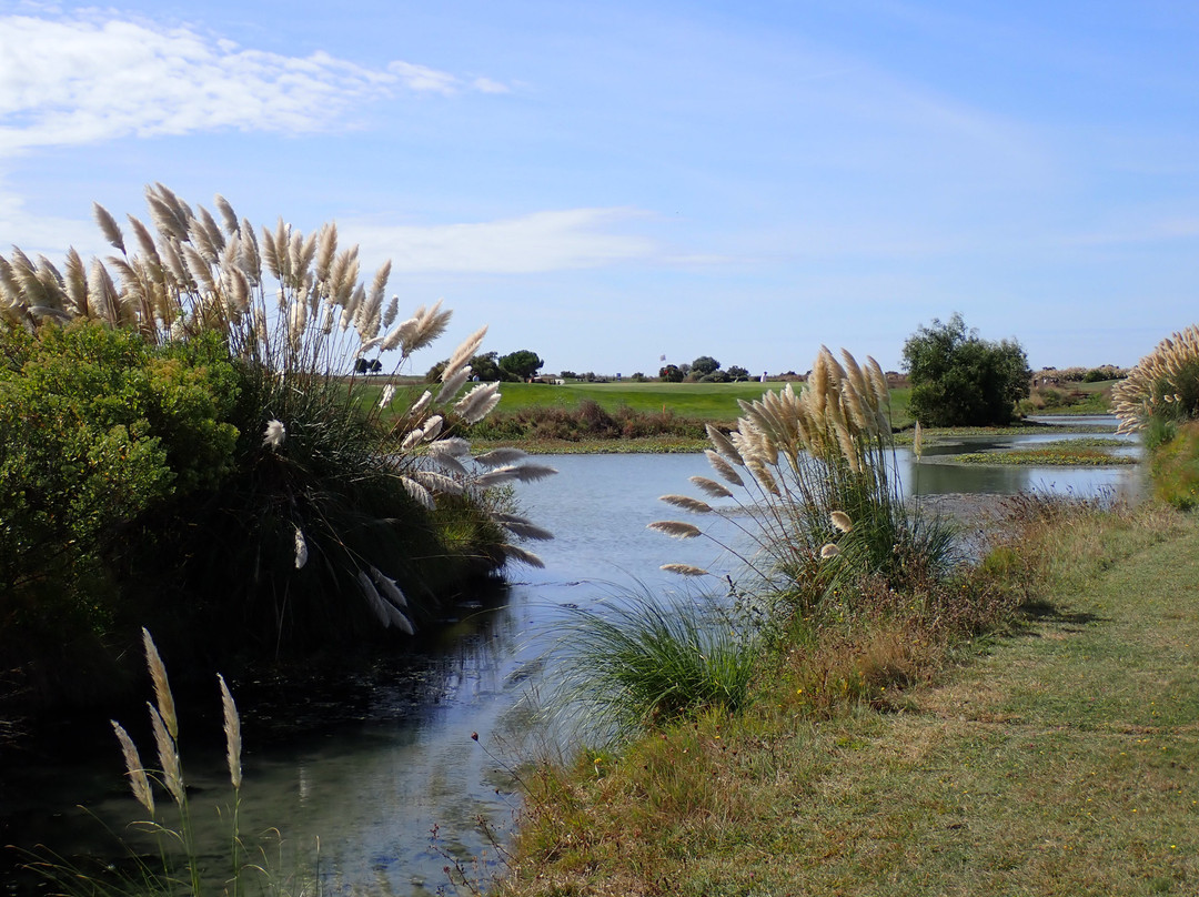 Golf de La Pree La Rochelle景点图片