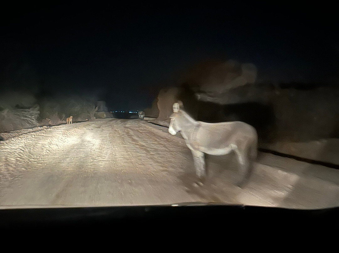 Le Palais Paysan主图