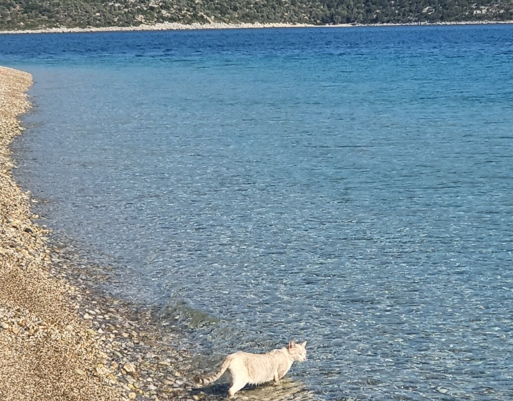 Agios Dimitrios Beach景点图片