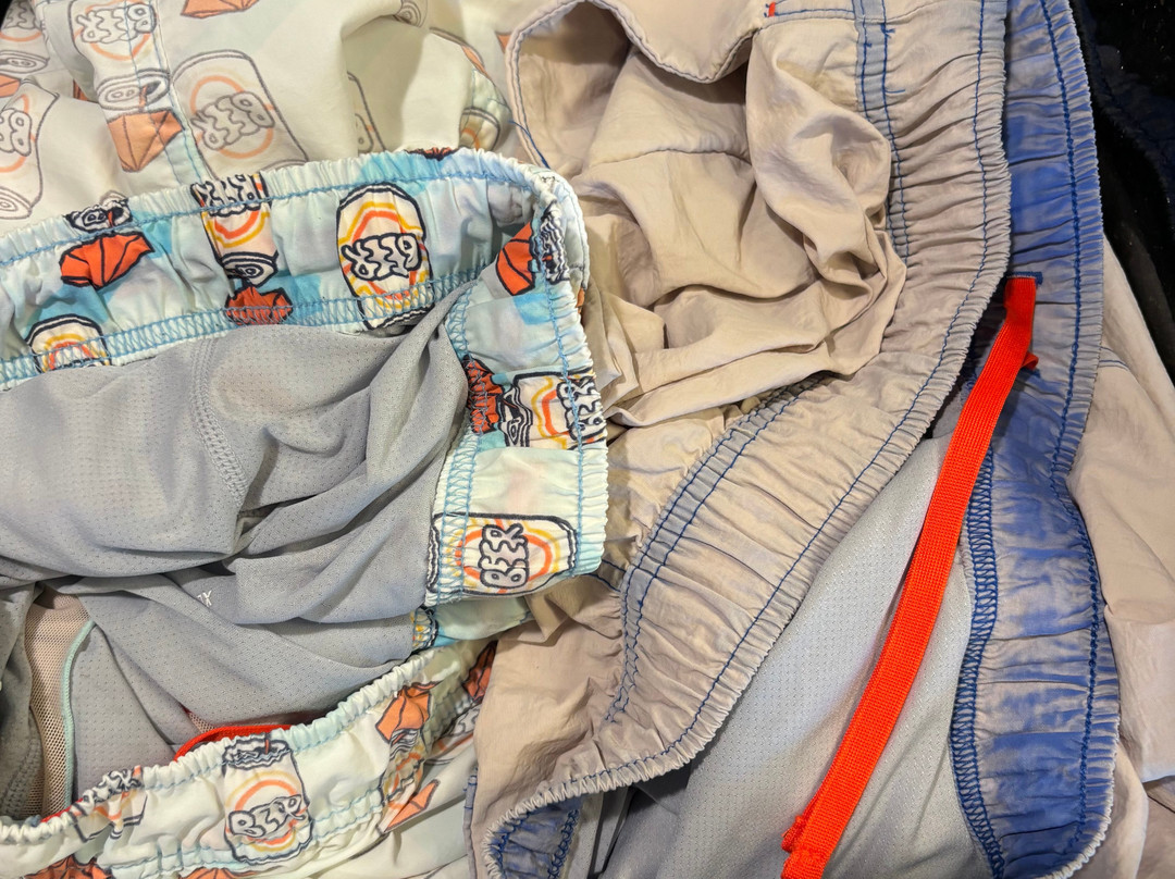 Best Western Plus South Edmonton Inn & Suites主图