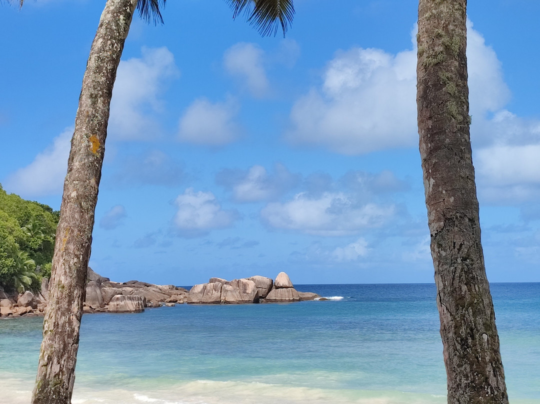 Seychelles Taxi, Tour & Music Entertainment景点图片