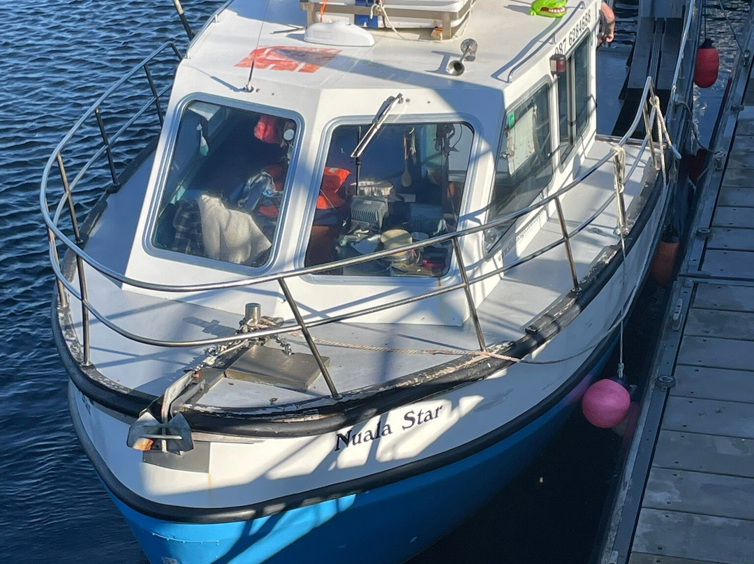 Sliabh Liag Boat Tours景点图片