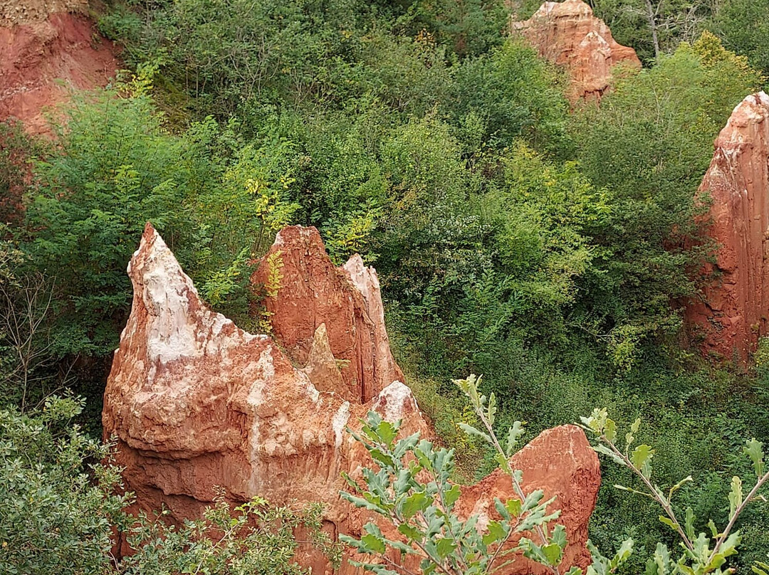 La Vallee des Saints景点图片