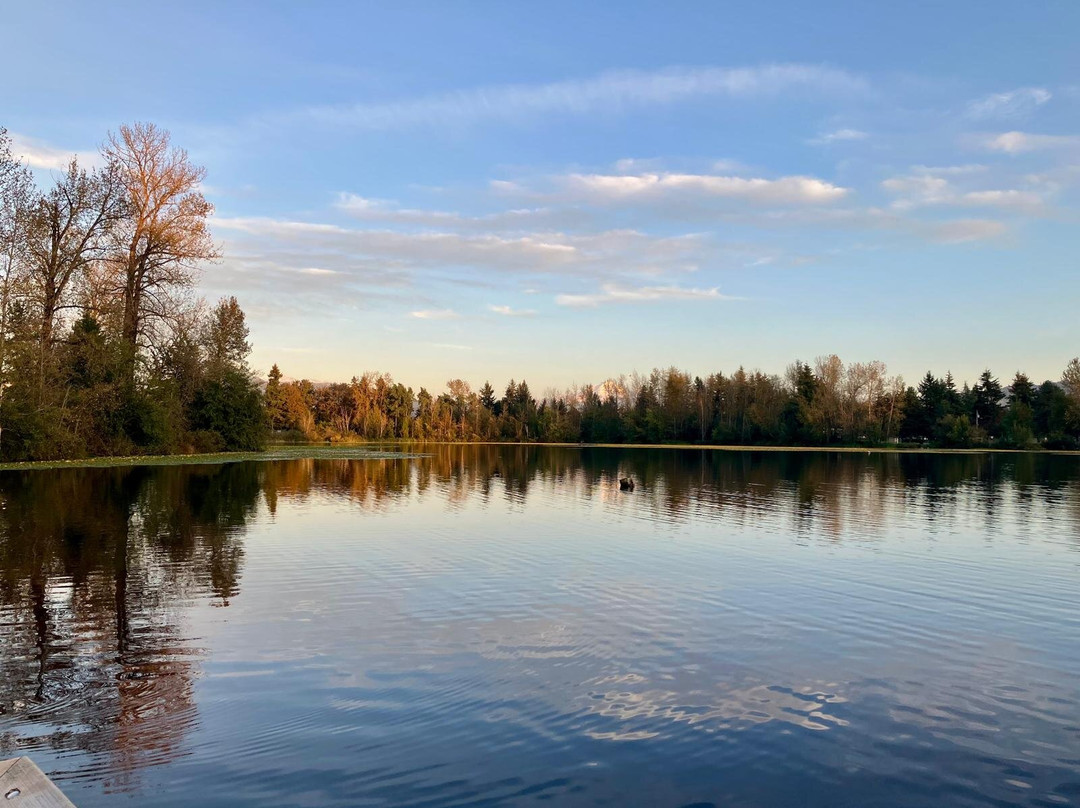 Mill Lake景点图片