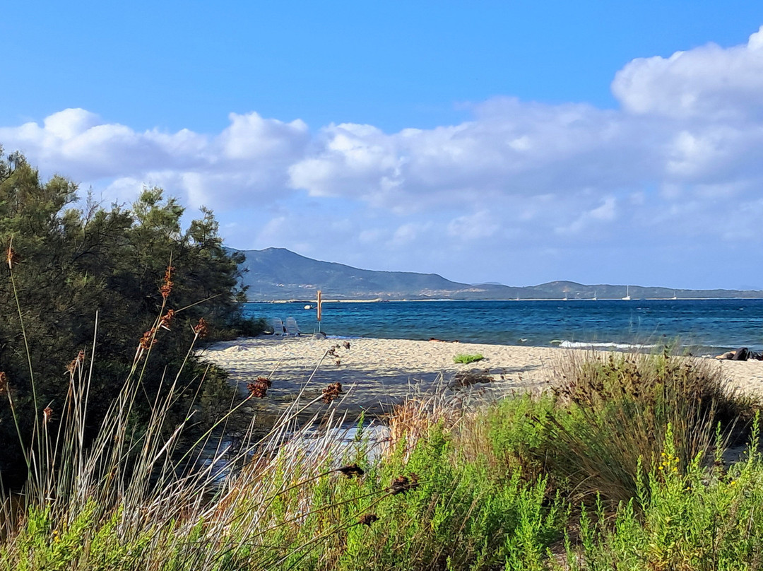 Spiaggia Cala D’Ambra-San Teodoro必去景点