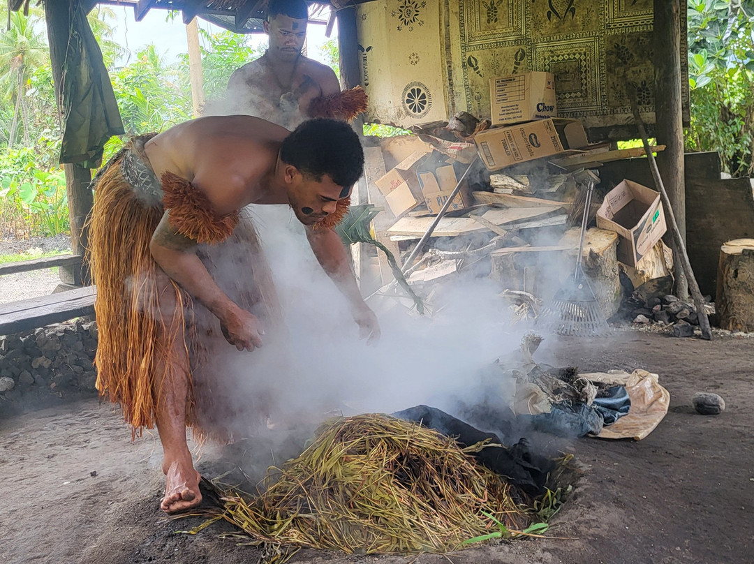 The Jewel Of Fiji - Day Tours景点图片