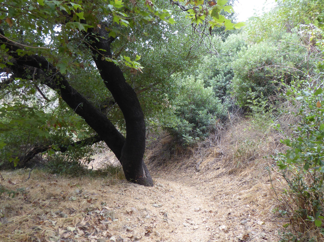 Zuma and Trancas Canyons-马里布必去景点