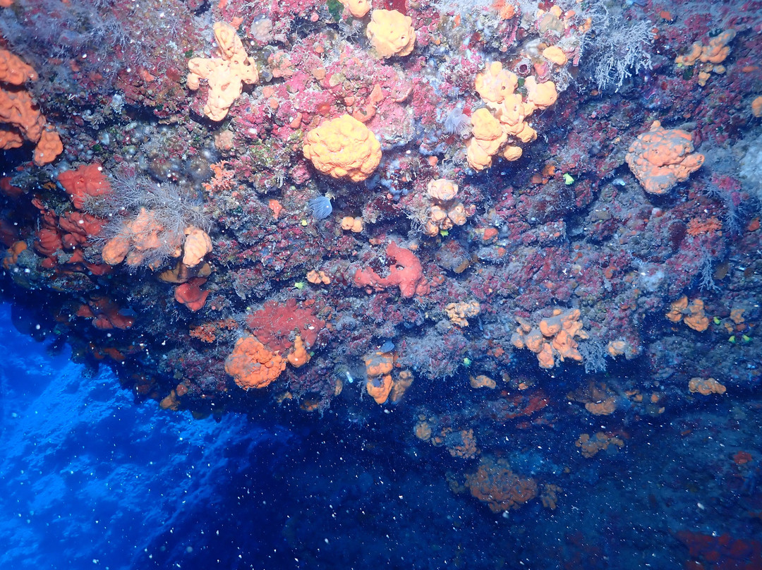 Pissouri Bay Divers-皮索里必去景点