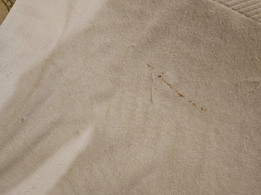 Pratap Niwas - An Amritara Resort主图