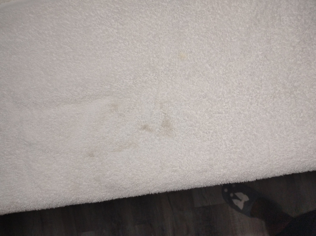 Rodeway Inn Port Richey North主图