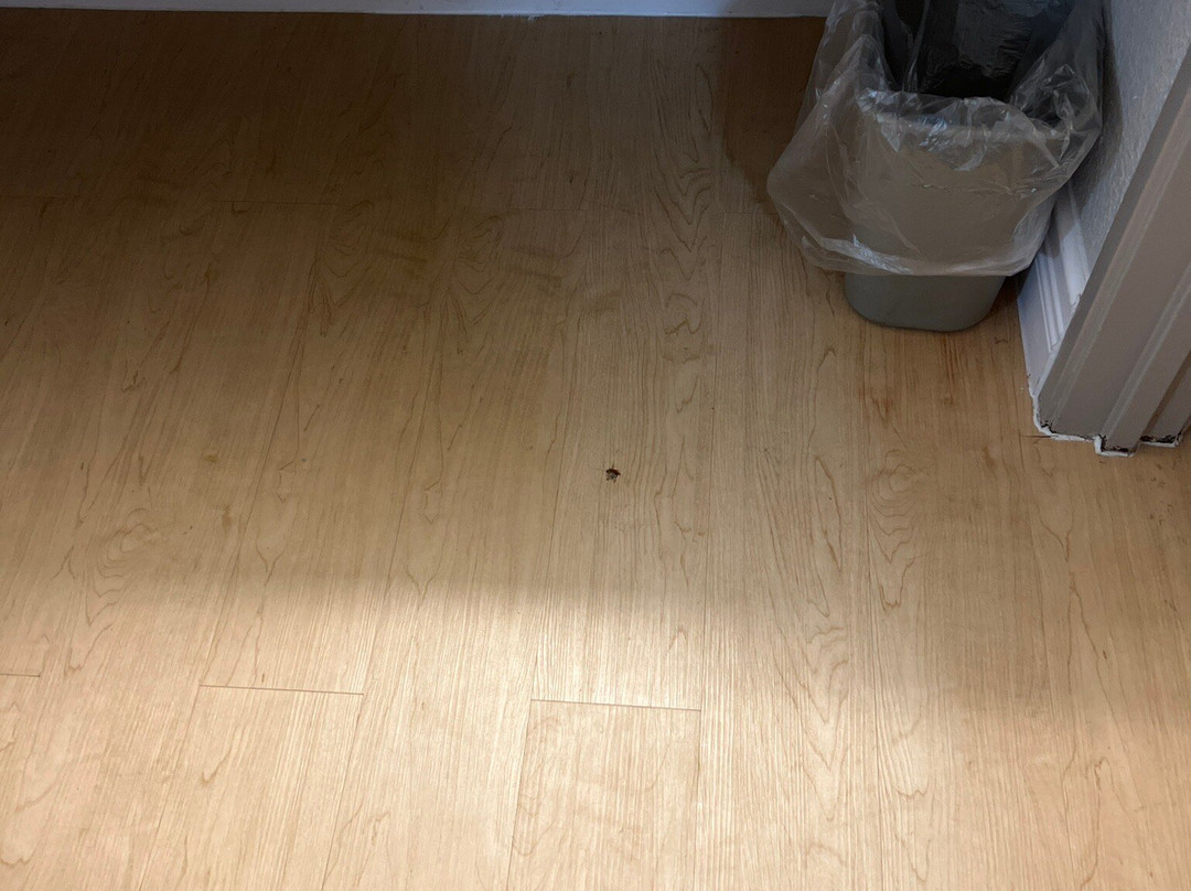 Red Roof Inn Tampa Brandon主图