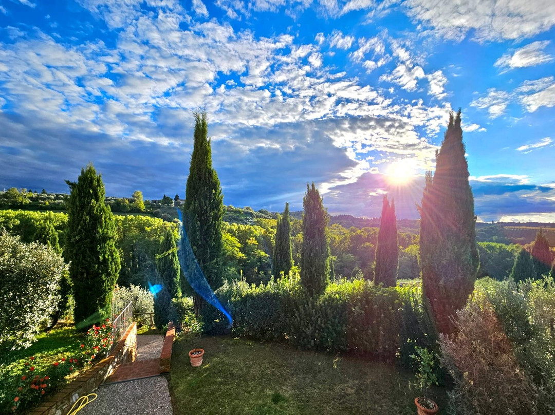 Tenuta delle Rose主图