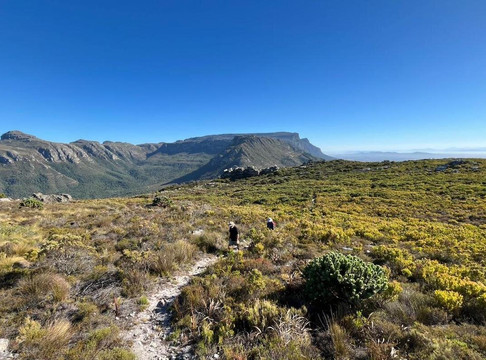 Hiking In The South-开普敦必去景点