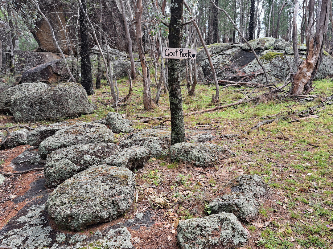 Goat Rock Camping Ground景点图片