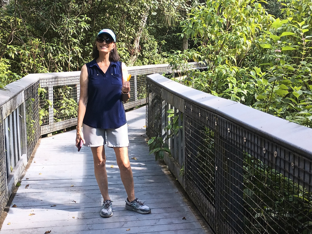 Tall Cypress Natural Area-科勒尔斯普林斯必去景点