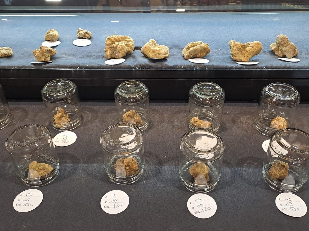Alba International White Truffle Fair-阿尔巴必去景点