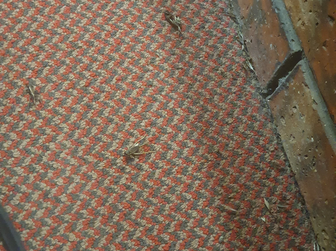 Kerang Valley Resort主图