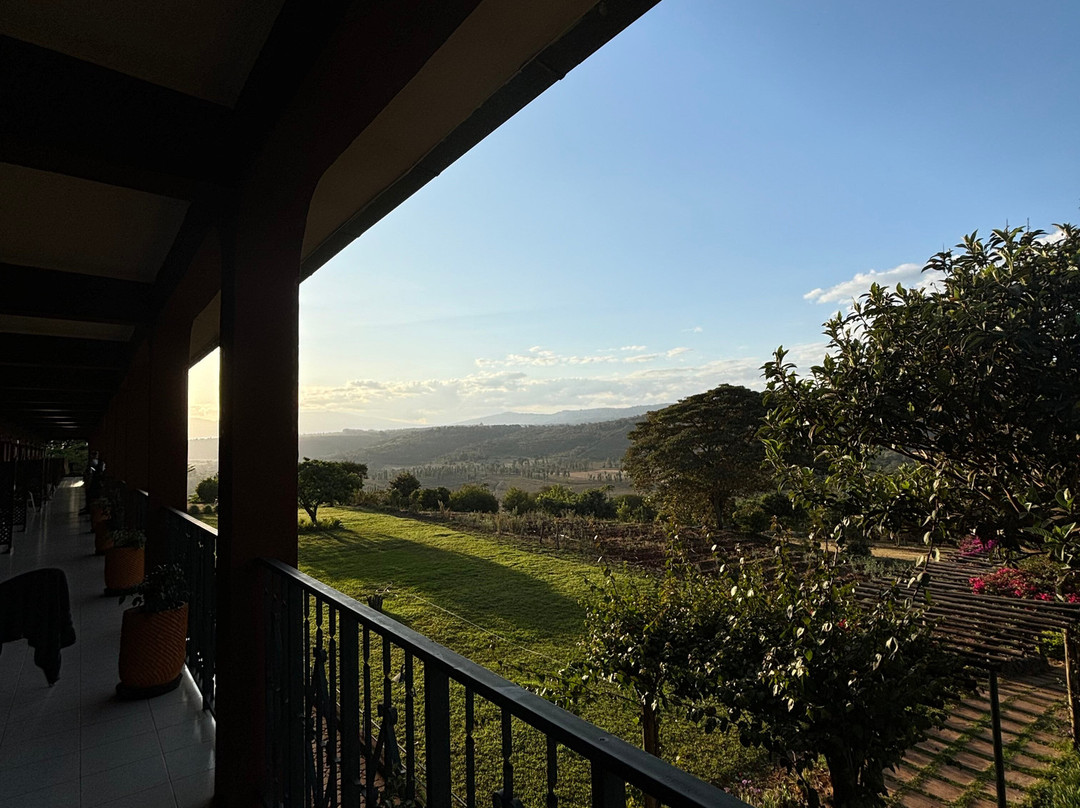 Highview Hotel主图