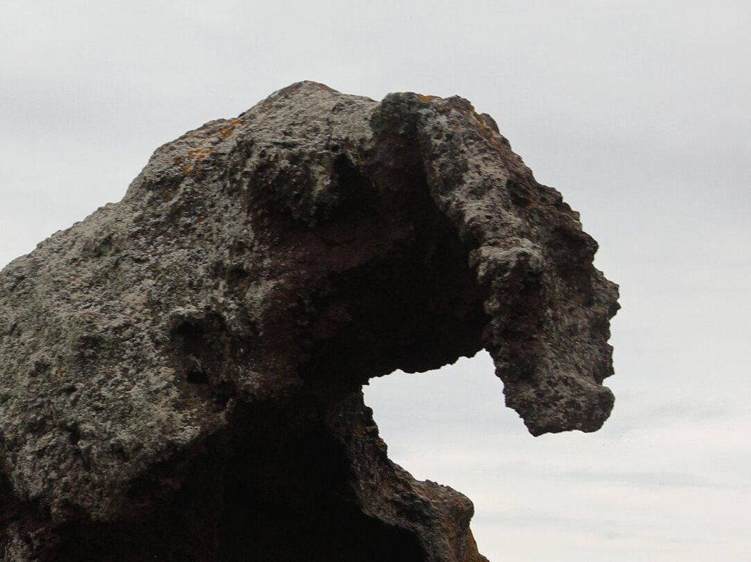 Roccia dell'Elefante-Castelsardo必去景点