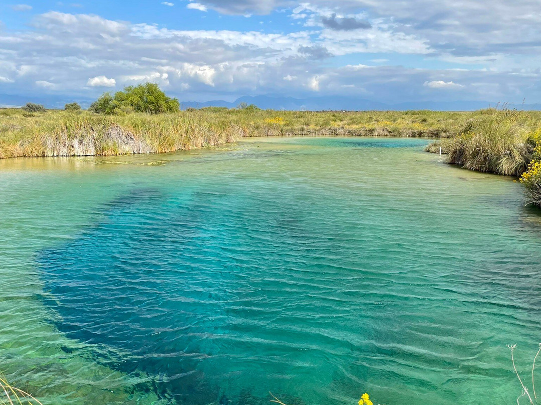 Poza Azul-Cuatro Cienegas必去景点