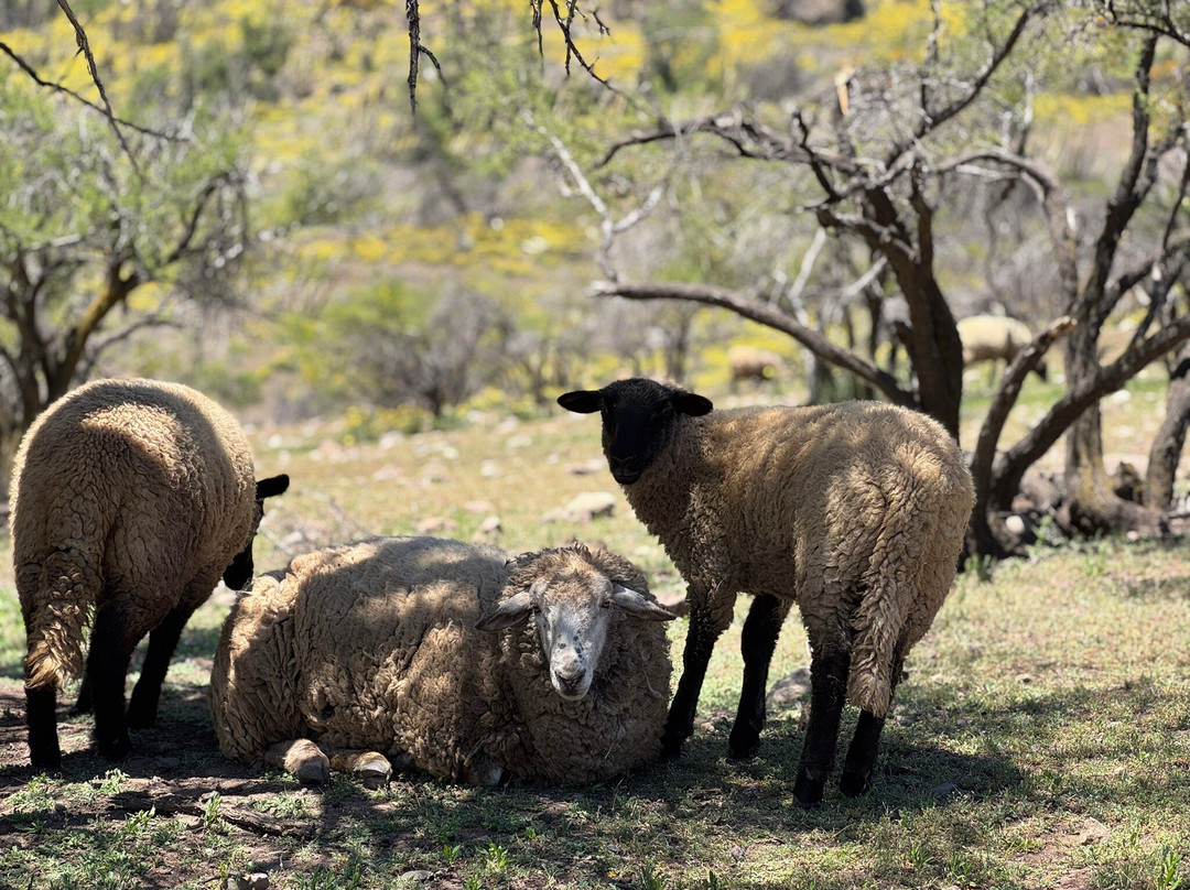 Mirador de Los Condores-圣若泽迈坡必去景点
