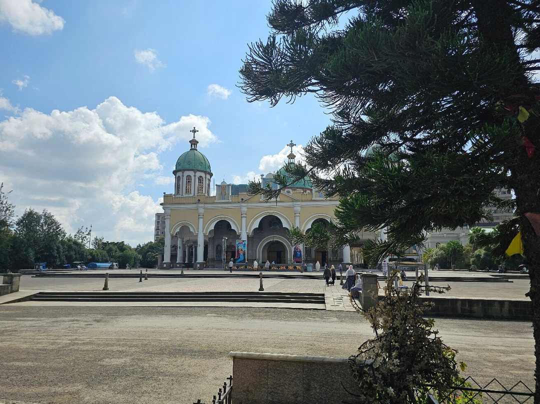 Bole Medhane Alem Cathedral景点图片