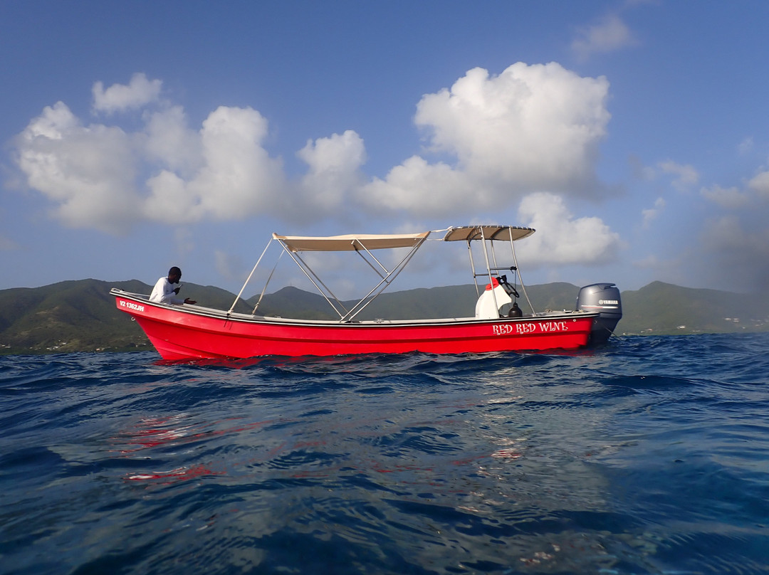 Sea Cat Discoveries Ltd景点图片