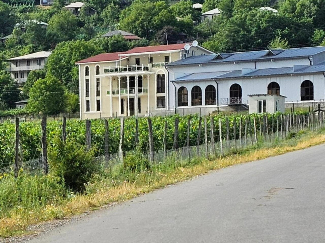 Gonadze Vineyards Hotel