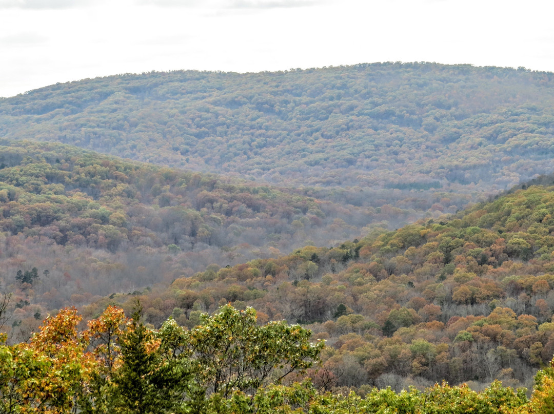 Taum Sauk Mountain State Park景点图片