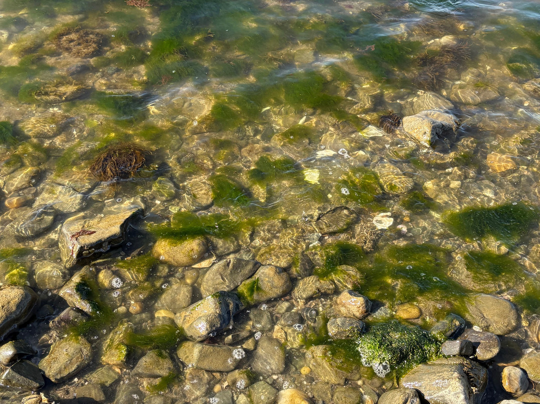 Silver Sands State Park-米尔福德必去景点