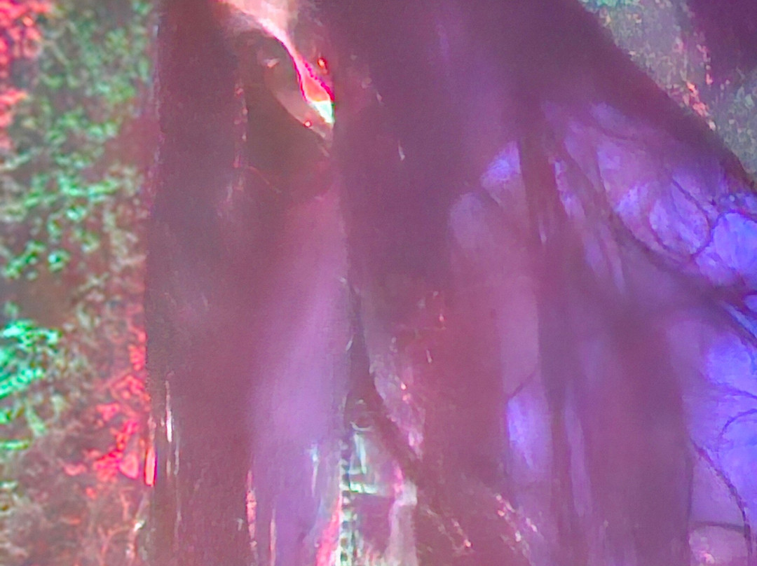 ESCAPE MANOR - Escape Rooms-Vale de Cambra必去景点