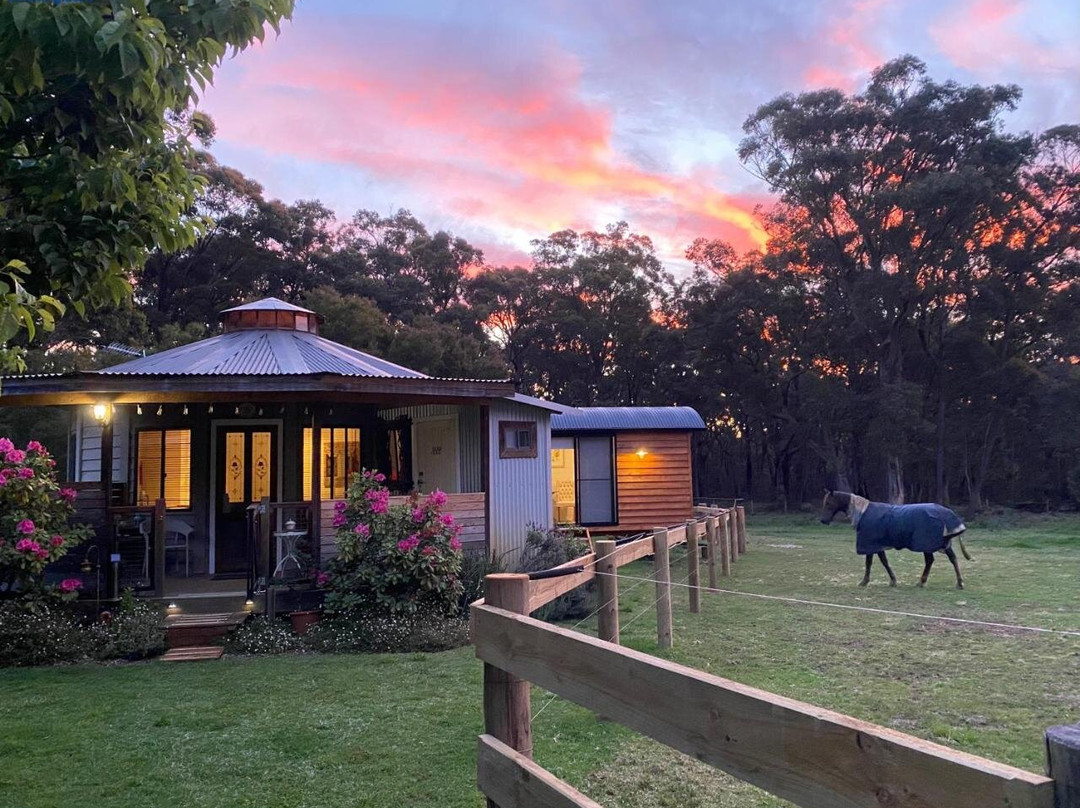 Ionaforest Yurt