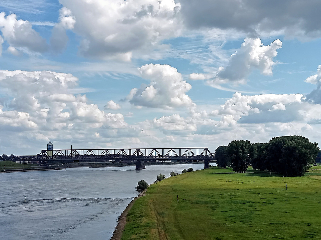 Rheinbrücken景点图片